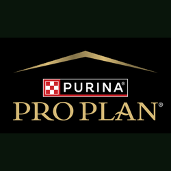 Pro Plan