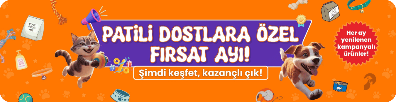 ayın fırsatı