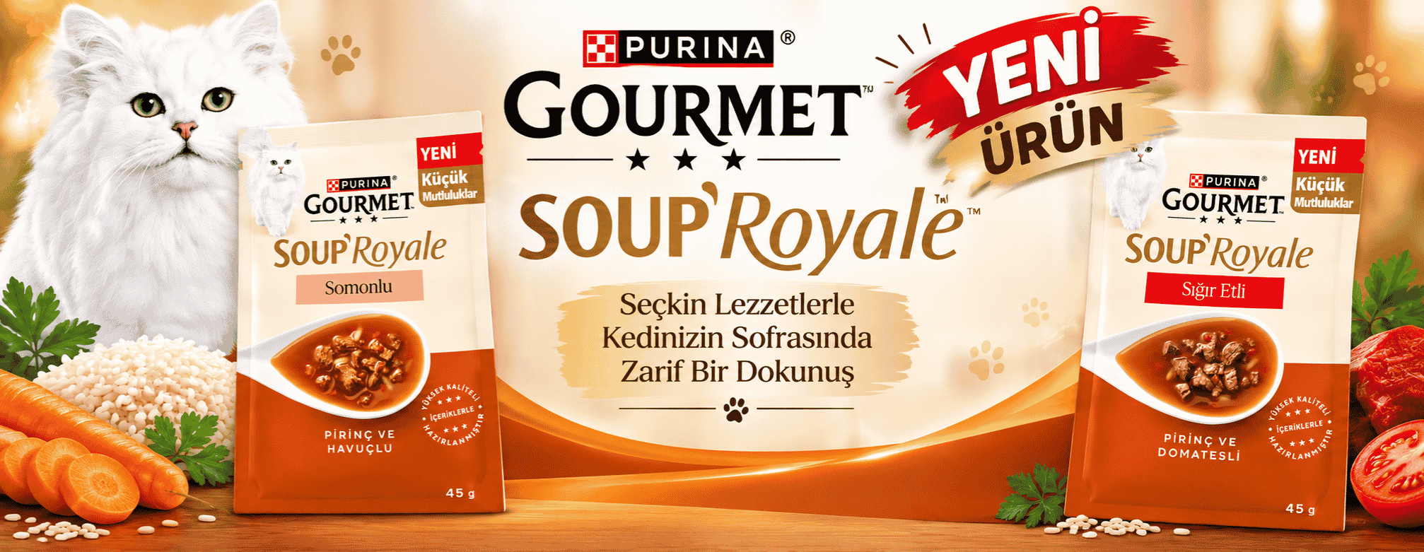 Gourmet Soup
