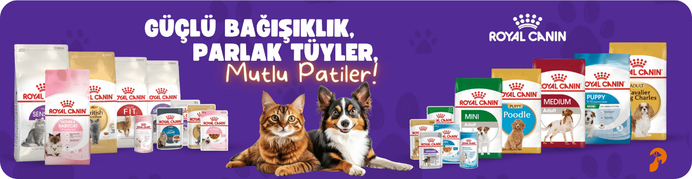 Royal Canin