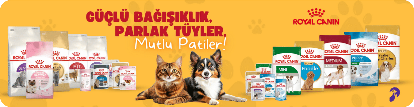 Royal Canin