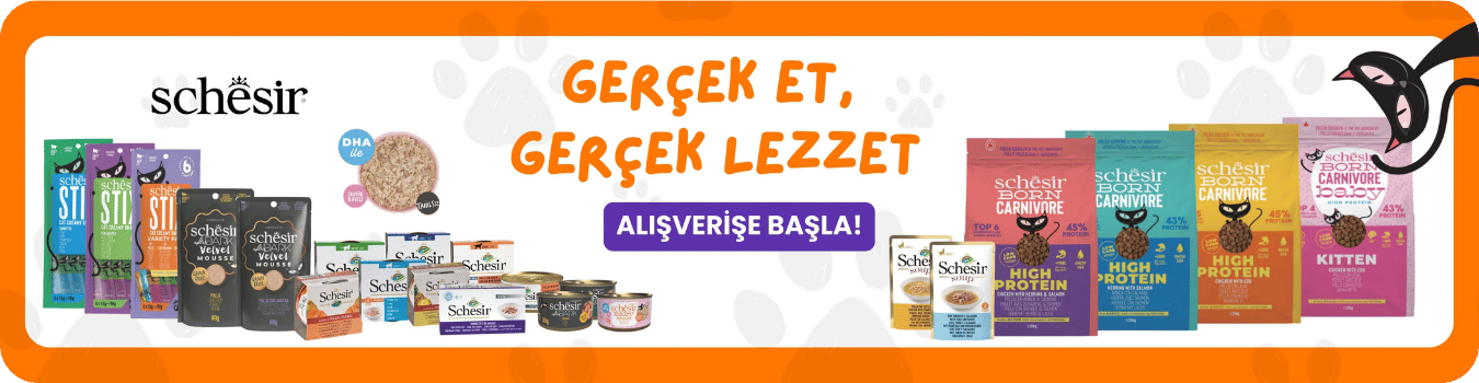 schesir