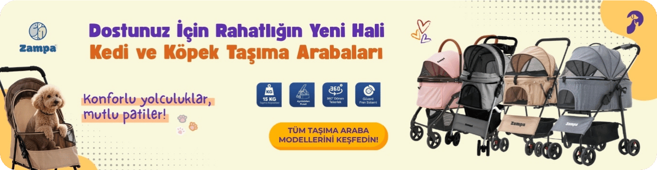 Taşıma Arabaları