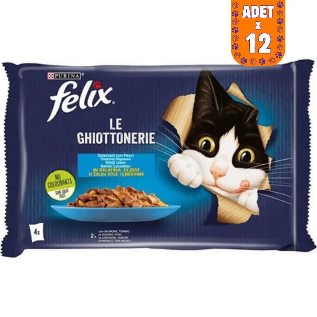 Felix Multipack Somonlu ve Ton Balıklı Kedi Yaş Maması 4x85 Gr 12 Adet