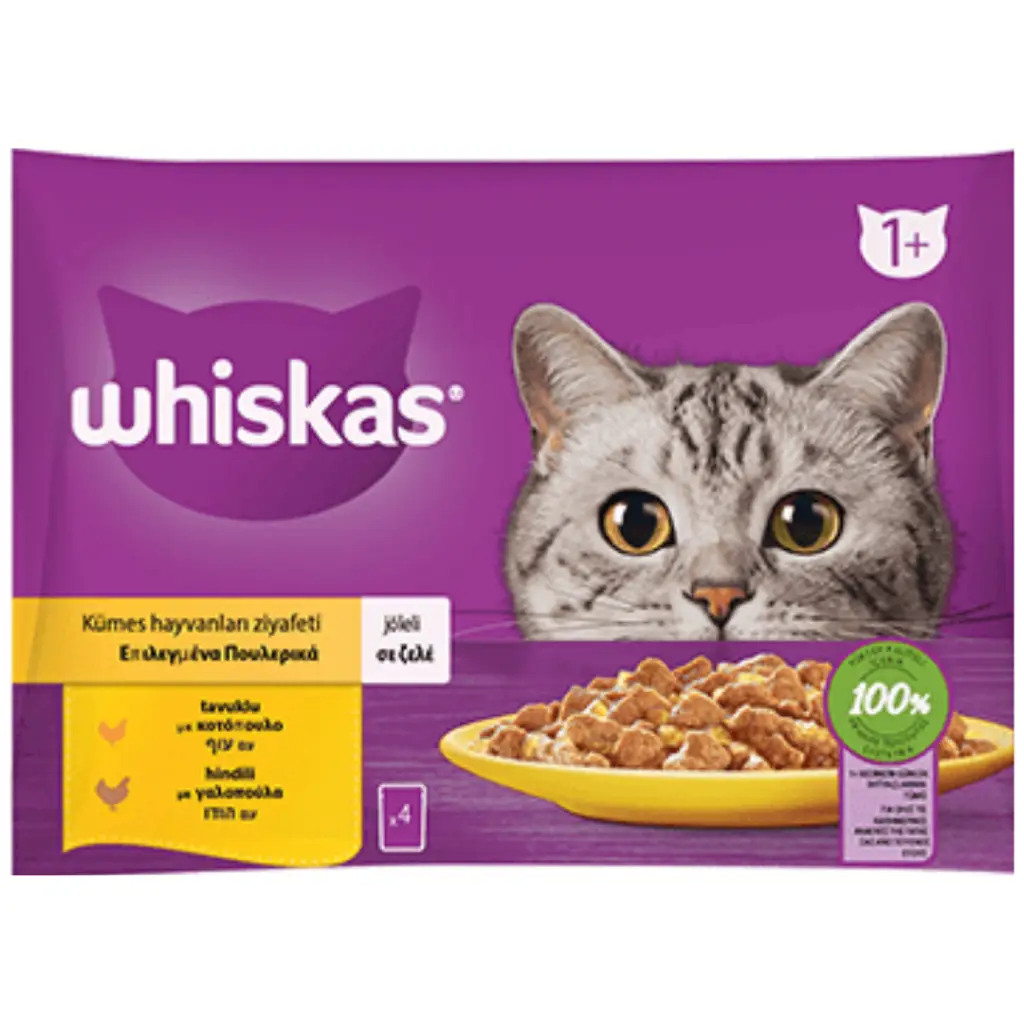 Whiskas Multipack Kümes Hayvanları Ziyafeti Jöleli Tavuklu ve Hindili Kedi Yaş Maması 4x85 Gr
